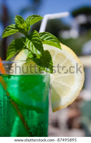 Mint drink, cocktail with lemon slice in a garden background