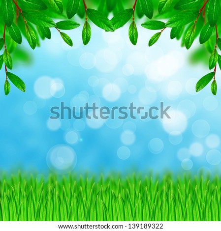 Green leaves and grass on the shiny sky background