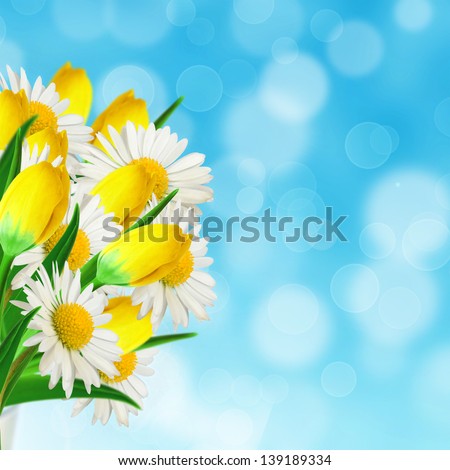 Bouquet of daisies and tulips on the sky background