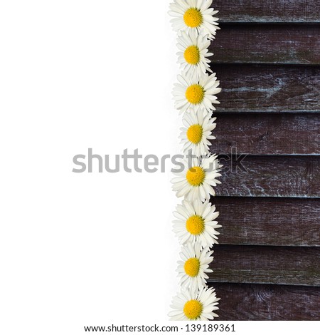 Daisies and wooden texture border on the white background