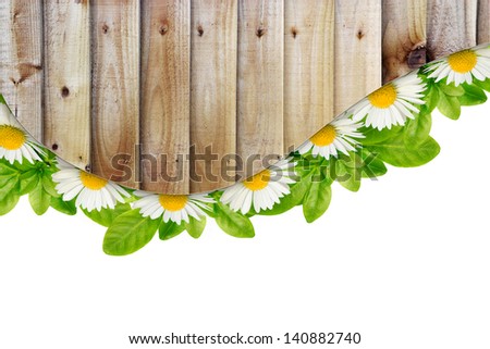 Daisies, green leaves and wooden plank border on the white background
