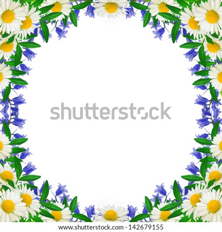 Wild flowers frame on the white background