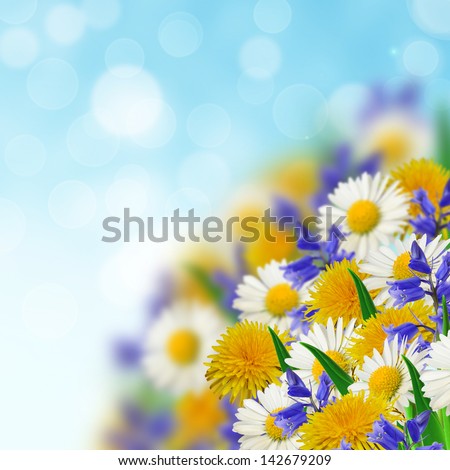 Bouquet of wild flowers on the sky background