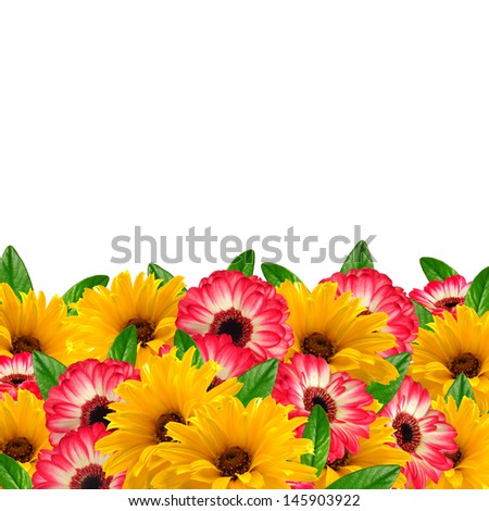 Flowers and leaves border