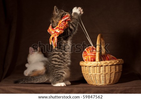 Small kitten playing with balls of threads and other knitting accessories