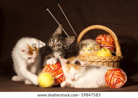 Small kitten sleeping and playing with balls of threads and other knitting accessories