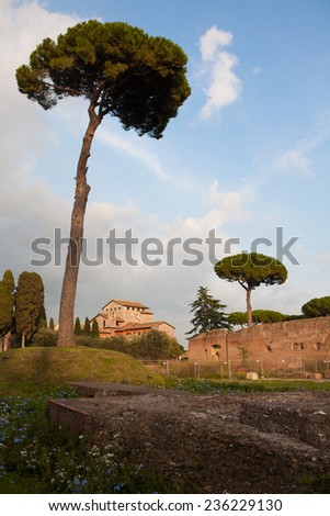 Palatine Hill, the centermost of the Seven Hills of Rome and is one of the most ancient parts of the city.