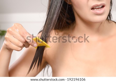 Woman combing out lice in her hair with a lice comb grimacing as she pulls the fine teeth through her long brown tresses to control the contagious infestation of tiny wingless insects