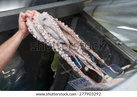 Man Holds Octopus in Hand at Market