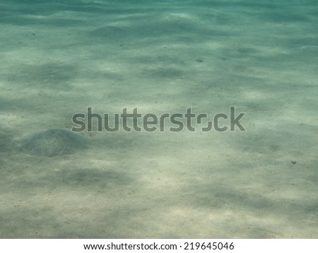 Sandy ground under sea, underwater ocean floor background