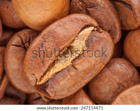 Roast grain coffee bean closeup macro background, cafe market wallpaper