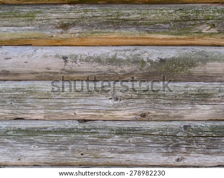 Old log wooden cabin wall, gray wood with moss and mold