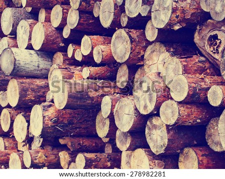 Stack of pine raw logs background, retro instagram style filtered