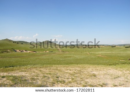 green grass land and blue sky