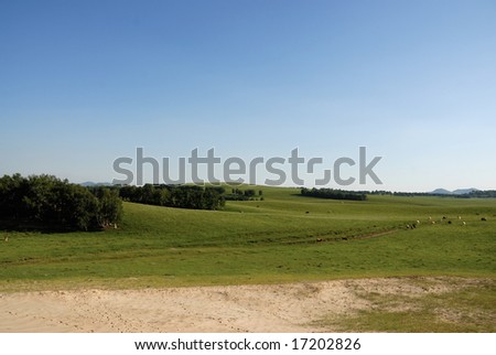 green grass land and blue sky