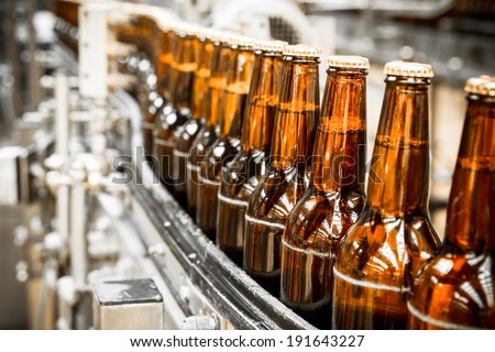 Beer bottles on the conveyor belt
