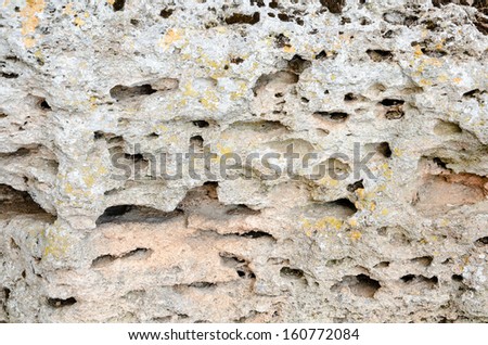 Porous stone