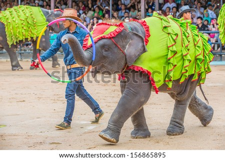PATTAYA, THAILAND - SEPTEMBER 14: Elephant plays hula hoop at Nong Nooch Garden on Sep 14,13. Nong Nooch is world renowned for its impressive Elephant and Thai Cultural Shows.