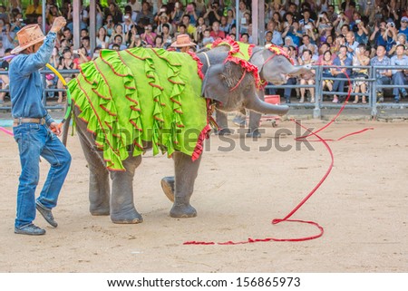 PATTAYA, THAILAND - SEPTEMBER 14: Elephants play the ribbon at Nong Nooch Garden on Sep 14,13. Nong Nooch is world renowned for its impressive Elephant and Thai Cultural Shows.