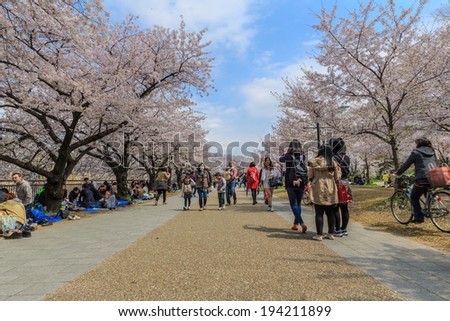 OSAKA - APRIL 5: Visitors enjoy cherry blossom on April 5, 2014 in Osaka Castle Park. It is a public urban park and historical site situated at Osaka.