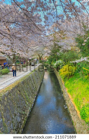 KYOTO - APR 8: Tourists enjoy Cherry blossom at Path of Philosophy on Apr 8, 14 in Kyoto. It is a pedestrian path that follows a cherry-tree-lined canal in Kyoto, between Ginkaku-ji and Nanzen-ji.