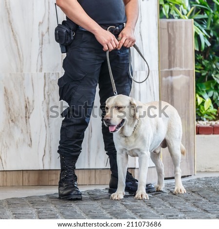 Police dog with human partner
