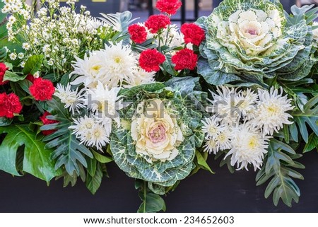 decorative cabbages and  red roses,