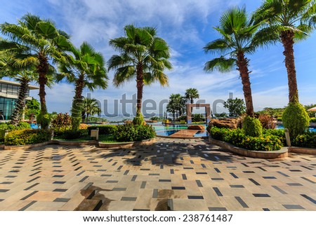 PATTAYA, THAILAND - SEP 21: Palm tree at Swimming pool of The Zign Hotel on Sep 21, 2014 in Pattaya. It is luxury hotel in Naklua, Pattay, the interior design is back into the 1950s and 1960s.