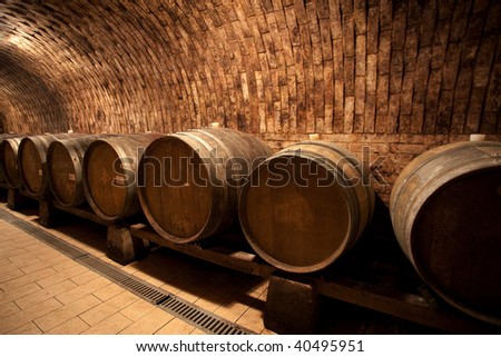 Wine barrels in the cellar (south moravia)