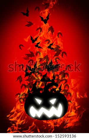 group of bats flying over halloween pumpkin  on fire background