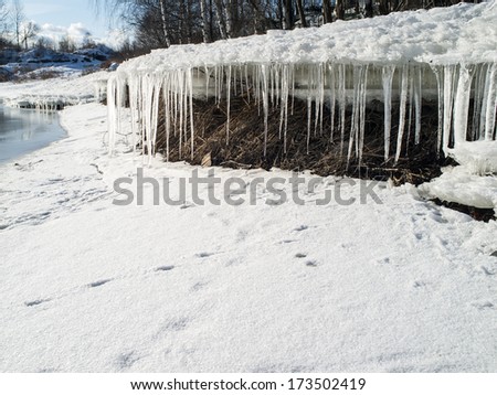 Icicles hang from a block of ice on old dry grass near the river in the spring thaw in the sun