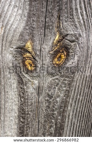 old pine wooden board with two yellow knots like the surprised eyes and face of an owl