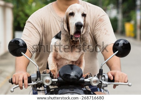 dog sitting on the bike going to travel