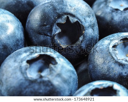 Blueberry blueberries background, close-up