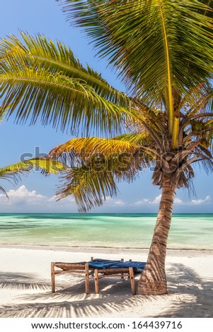 Beach Lounge chairs under palm tree leaves at the shore of Indian ocean, Zanzibar, Tanzania