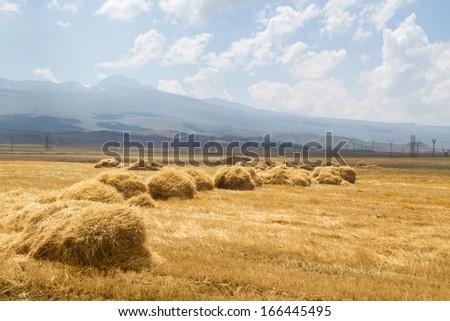 Haymaking period in Armenia