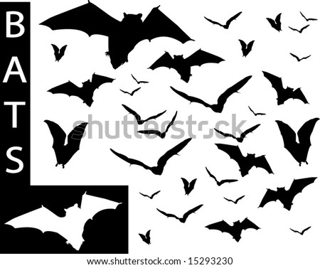stock vector A collection of Bat silhouettesCheck out my portfolio for