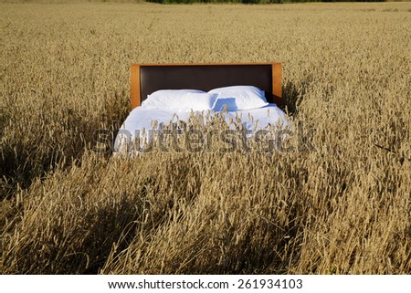 bed in a grain field- concept of good sleep