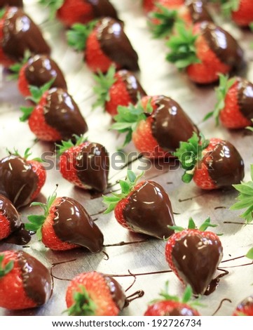 making chocolate dipped strawberries