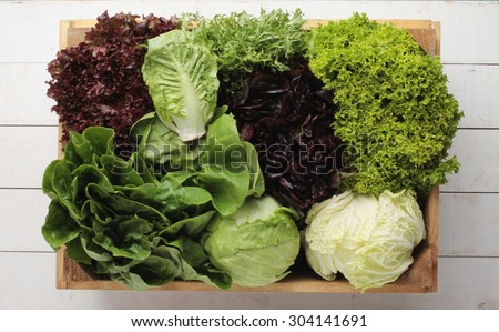 fresh picked whole lettuce varieties