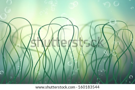 Abstract Background - the underwater world with marine algae