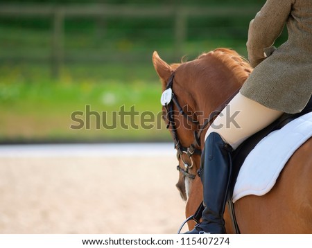 A close up of the side of a horse and rider during a dressage movement shot with a shallow depth of field.
