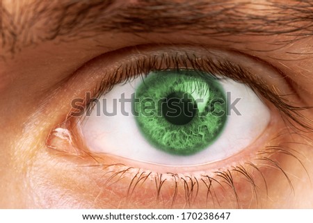 Close Up Of A Man Eyes, macro
