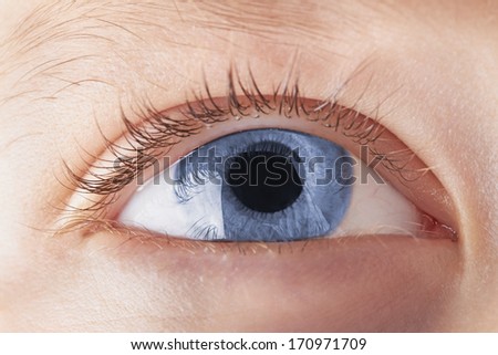 Beautiful blue eye macro shot, macro
