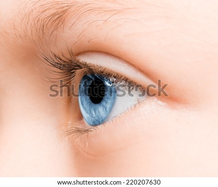 Beautiful blue eye macro shot, macro