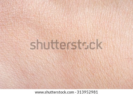 The texture of the skin