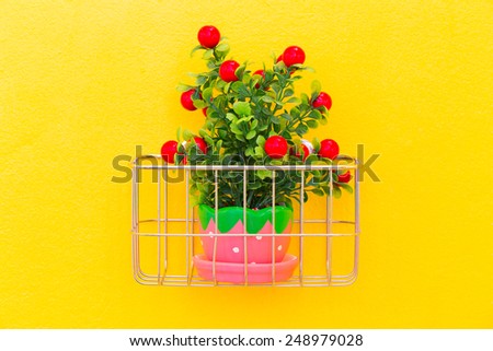 Fake ornamental plants with concrete wall background.