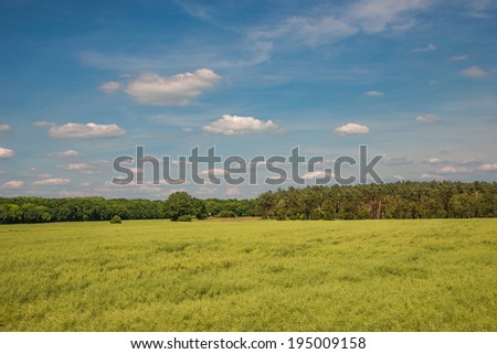 Late Spring, Early Summer landscape of cereal field in Germany, 2014
