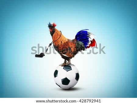French colored rooster with big tail on a ball