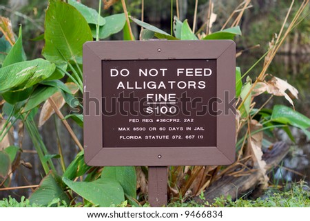 Do Not Feed Alligators sign in Florida Big Cypress Swamp.